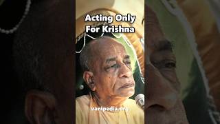 Acting Only For Krishna - Prabhupada 0904