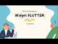 Widget Expanded