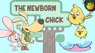 The Newborn Chick | Charlie and Friends | Episode 19 | Funny Short Stories