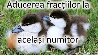 Aducerea Fractiilor La Acelasi Numitor, Clasa A V-A