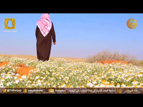 شيلة الجو روعة كلمات أبو نوره الاحيوي أداء أنور الجمعان