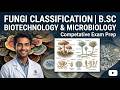 Fungi Classification |L-3 |BSC Biotech & Microbiology |Competitive exam prep