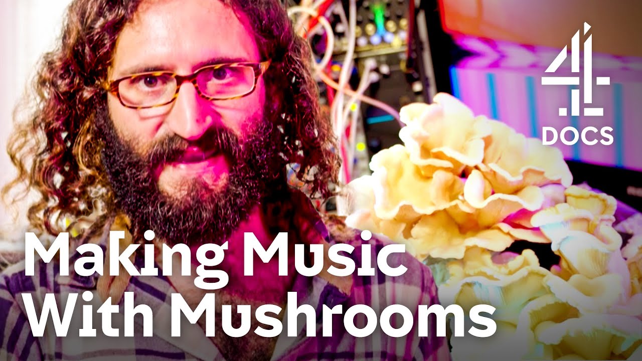 Documentary backdrop image for Connecting Mushrooms to Synths in the Studio (2022)