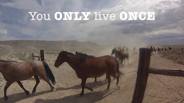 USA - Convoyage de chevaux dans un ranch western avec Randocheval