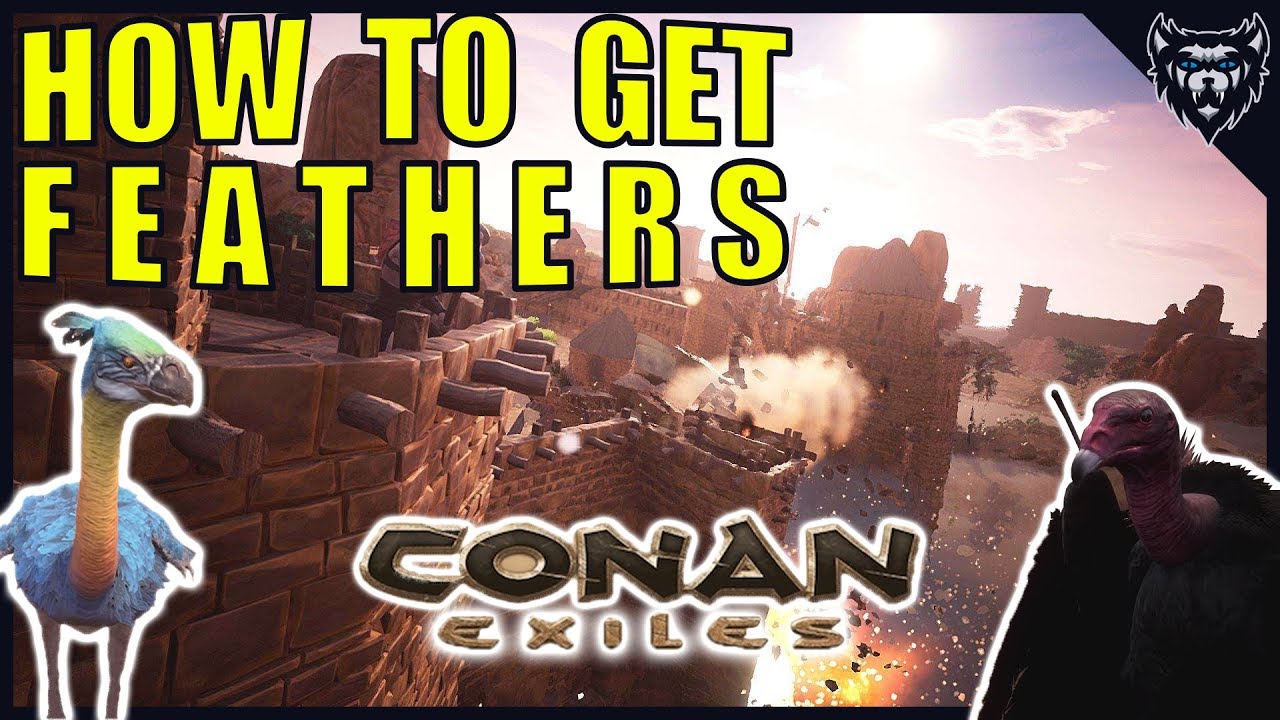 how-to-get-feathers-in-conan-exiles-location-and-tutorial-2018