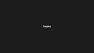 Sunpina Training 2025-0427（2）