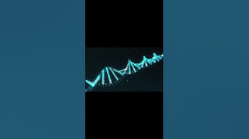 The Microplastic Report