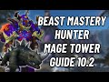 Beast Mastery Hunter Mage Tower Guide 10 2 World Of Warcraft Dragonflight Beast Mastery Hunter Mage Tower Guide 10 2 World Of Warcraft Dragonflight