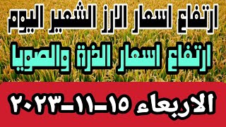 ارتفاع اسعار الارز الشعير اليوم وارتفاع اسعار الذرة والصويا والارز الابيض والمخلفات