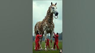 Cute kuda poni #video #videoviral #kudaponi #kuda #shortviral
