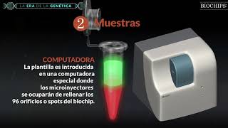 80 81 BIochips Aplicaciones VIDEO