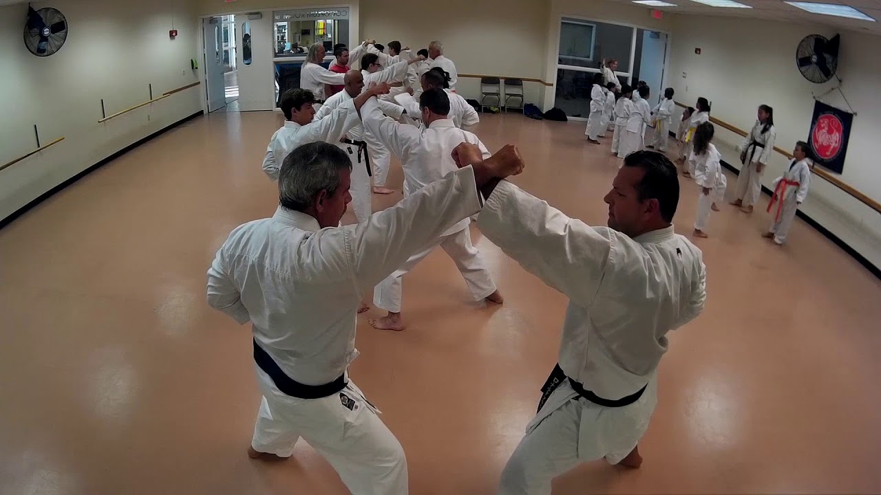 Karate stepping triple punch drill YouTube