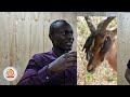 Enyuni Licharia Ya Khulia Bikuwa Enyuni Licharia Ya Khulia Bikuwa