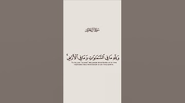 القارئ بندر بليلة