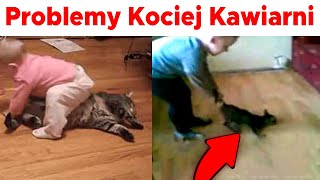 Kocie Kawiarnie i ich problemy by Kocie Sprawy 724 views 5 months ago 1 minute, 28 seconds