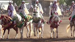 الجزء الثاني من مهرجان التبوريدة الأمازيغية الجميلة ب زاوية الشيخ  لن تندم على المشاهدة