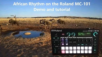 African Rhythm on the Roland MC-101 - Demo and Tutorial