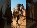 a chance encounter  #dinosaurworld #dinosaur