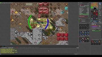 Tibia - Roshamuul Teamhunt 166ED View 1kk/hr