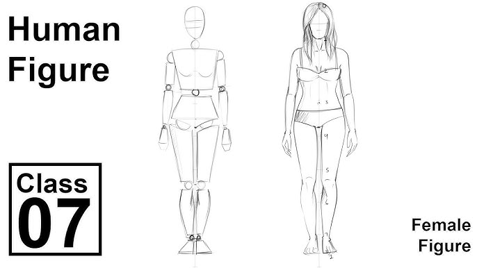 Lesson 9: Fashion Proportion & Female Figures