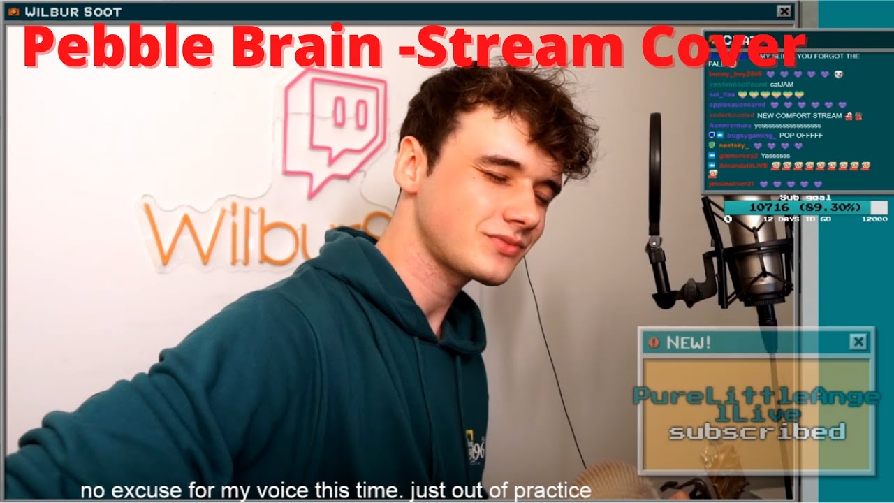 Wilbur Performs "Pebble Brain" Live On Twitch...