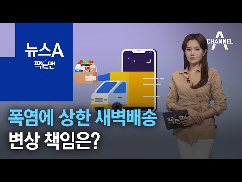 [팩트맨]폭염에 상한 새벽배송…변상 책임은? | 뉴스A