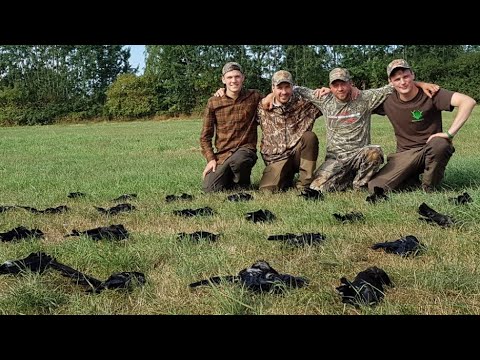 Lockjagd auf Krähen mit Nils Kradel - Hunter Brothers