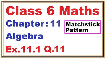 Ex.11.1 (Q.11) Chapter:11 Algebra | Ncert Maths Class 6 | Cbse