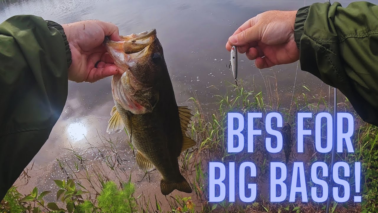 BFS Fishing an Ultralight Topwater Lure for BIG Bass! #bfs #bassfishing #bass