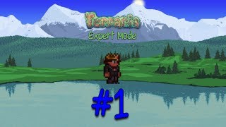 Terraria 1.3.5 Expert Mode : A New Challenge![#1]