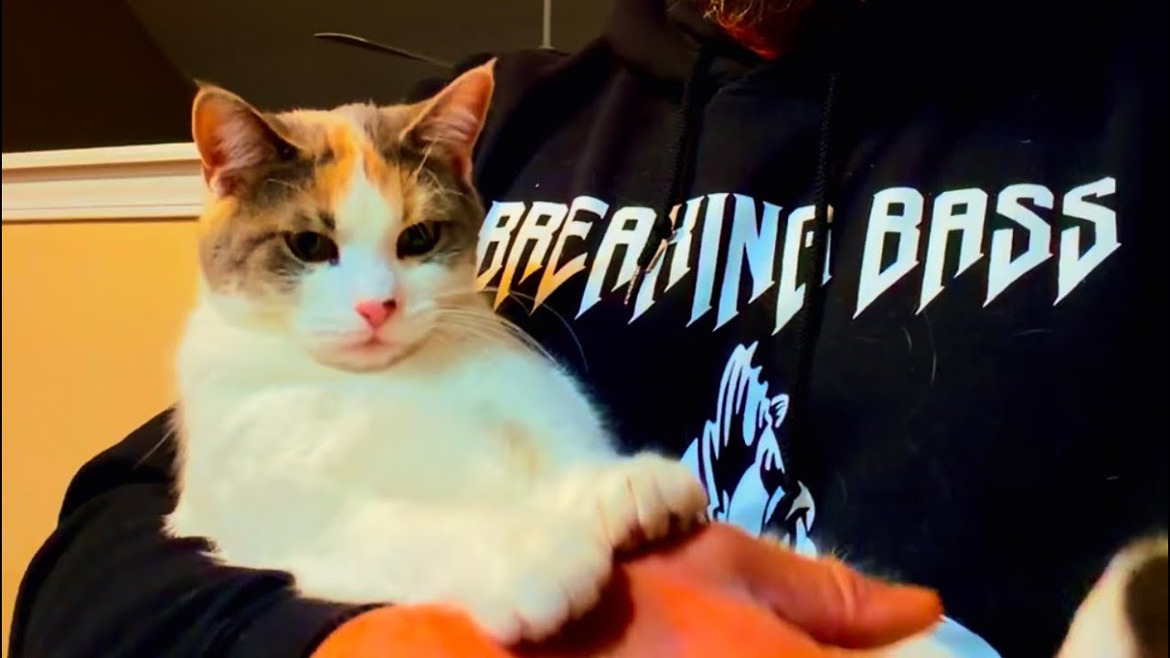 Late Night Jig Talk and Little Minnow 