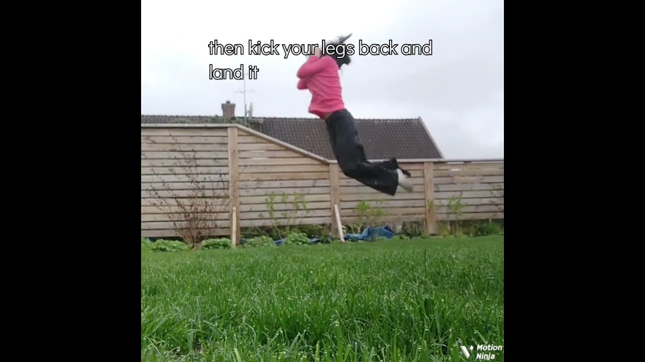 High Jump Tutorial Therian Therianthropy Antizoo Fyp Shorts