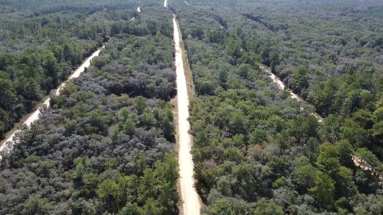 0.22 acres in Interlachen, Putnam County FL 24-09-24-4075-0310-0350