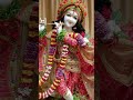 बन्दे करले भजन #shyamjibhakti #trending #thakurji #laddugopal #krishna #bhajan #bhaktipath