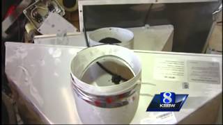Marijuana growing house found in Greenfield