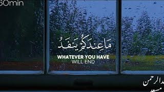راحه نفسيه،قرآن كريم 💜🎧 تلاوات مجمعه بصوت عبدالرحمن مسعد | Abdulrhman mosad  |  60 min