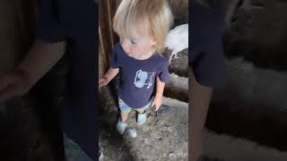 свое хозяйство это круто