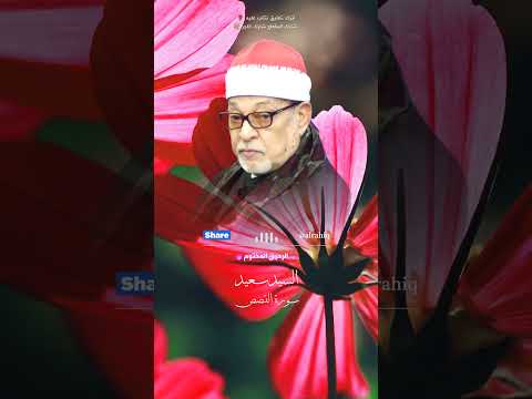 ونريد ان نمن على الذين استضعفوا في الارض الشيخ السيد سعيد