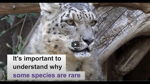 E4 award: How and why species are rare: towards an understanding of the ecological causes of rarity