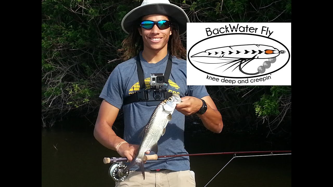 BackwaterflyCentral Florida Fly Fishing Tarpon, Blue Tilapia! YouTube