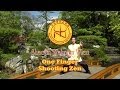 Shaolin wahnam  one finger shooting zen