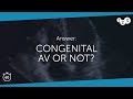 60 Seconds of Echo Teaching Answer: Congenital AV or not?