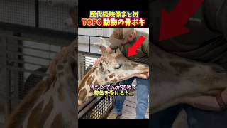 海外でバズった初めて整体を受けるペットの面白いリアクションTOP6