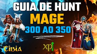 🚀 From 300 to 350 in a flash! | 5 Insane Hunts for Mages in Tibia