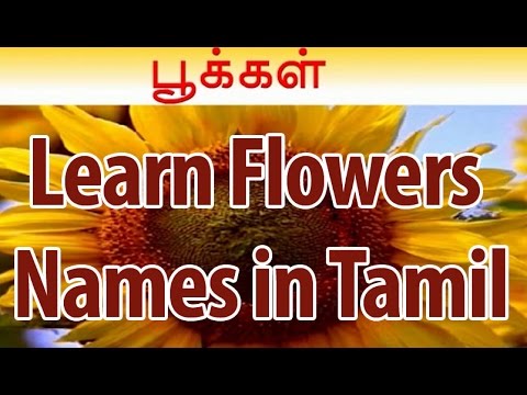 Learn Names of Flowers in Tamil  Flower Names in Animation Video   Learning for Kids