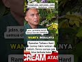 Ramalan terbaru hard Gumai #ramalan #hardgumay #podcast #dennysumargo