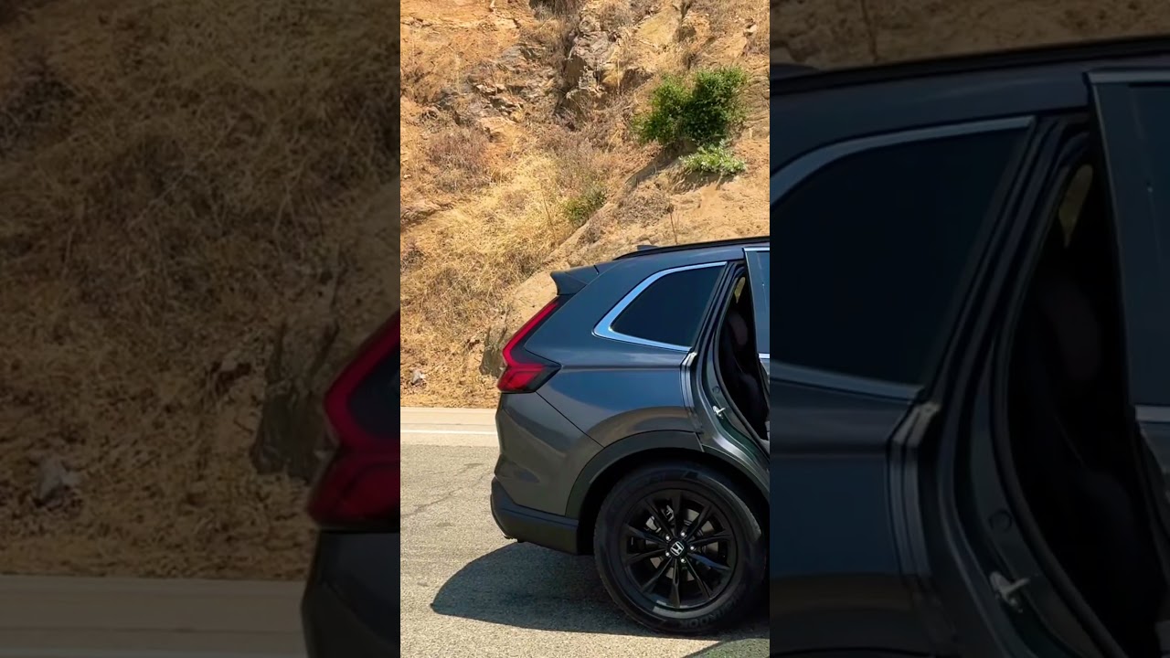 Sequoia national park! General Sherman!