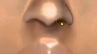 IMVU nose and collarbone tut.