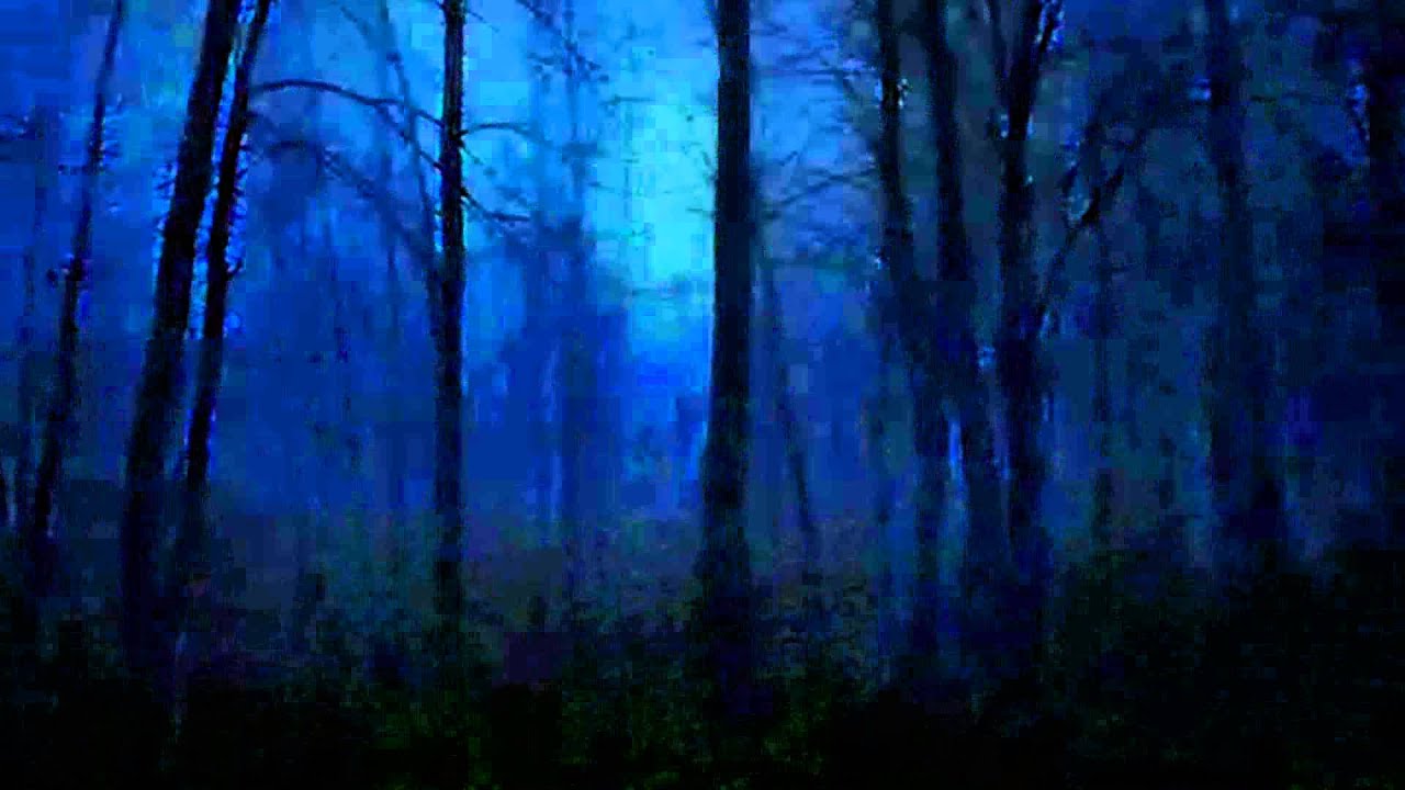 The official book trailer for Never Let Go by Gareth Crocker