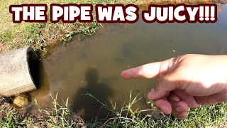 MICRO FISHING the JUICIEST PIPE in the RESERVOIR...!!! | BR24-EP2